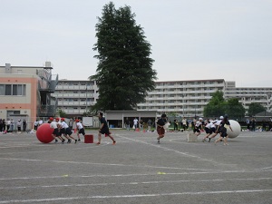 大玉