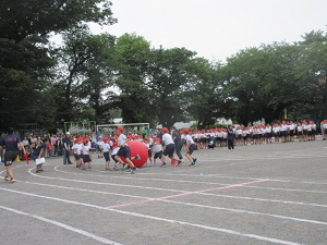 大玉