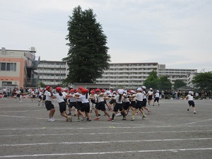 棒