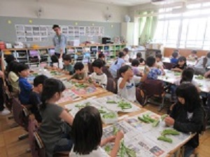 そらまめ