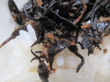 写真　給食