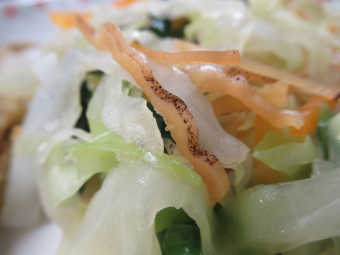 写真　給食