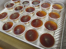 写真　給食