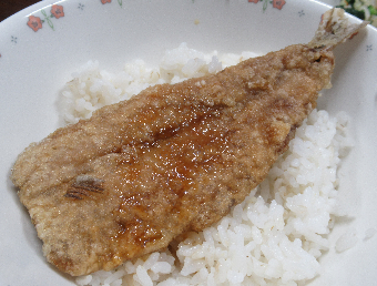 写真　給食