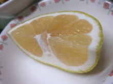 写真　給食