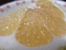 写真　給食