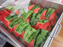 写真　給食