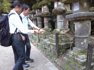 修学旅行