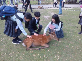 修学旅行
