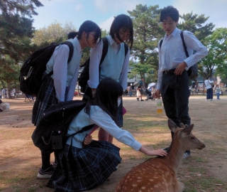 修学旅行