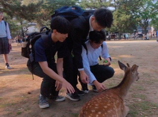修学旅行