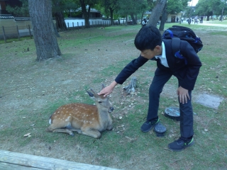 修学旅行