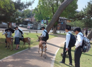 修学旅行
