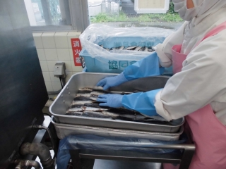 給食