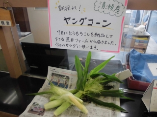 給食