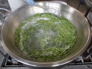 給食