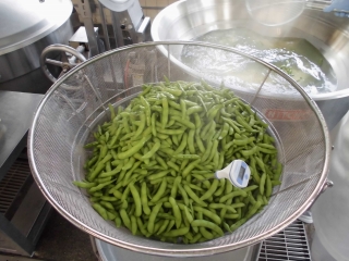 給食