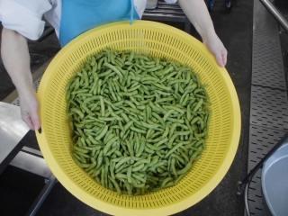 給食