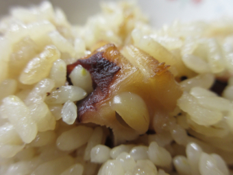 写真　給食