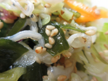 写真　給食