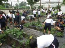 写真　給食