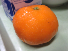 写真　給食