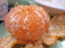 写真　給食