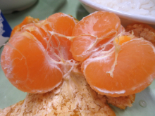 写真　給食