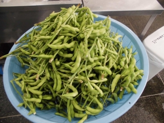 給食