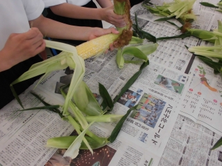 給食