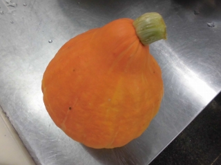 給食