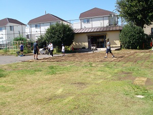 siba1