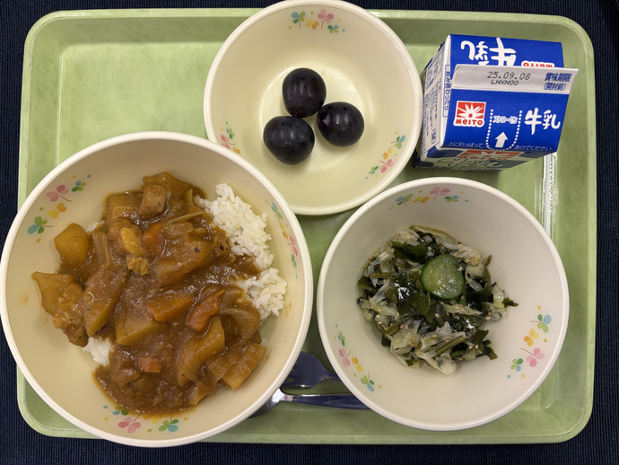 もりもり通信