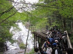 滝