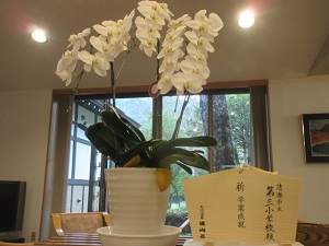 宿