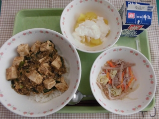 給食