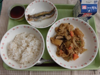 給食