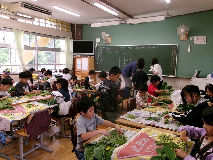 3年枝豆のさや取り