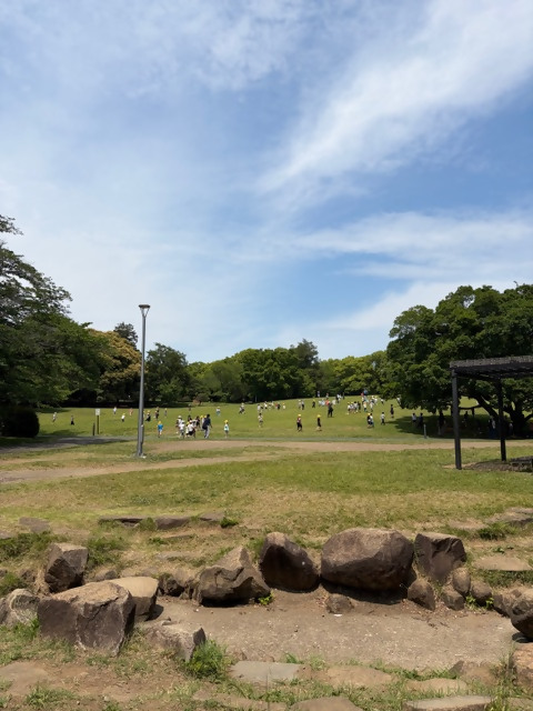しば