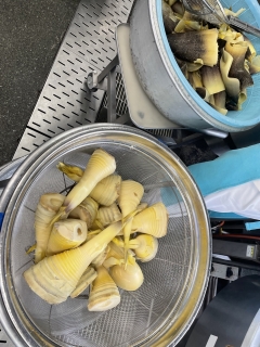 給食