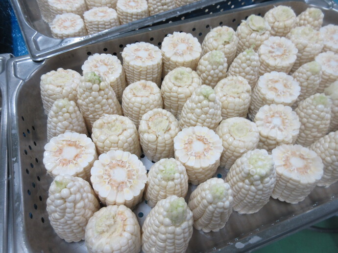 とうもろこし3