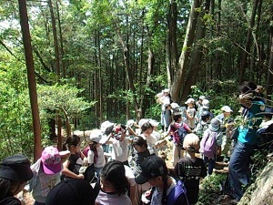 4nen1