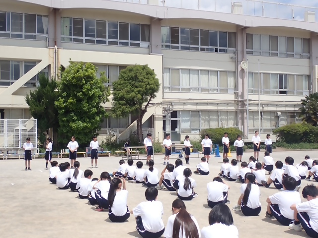 写真
