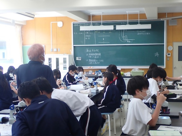 写真