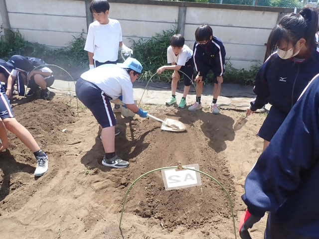 写真