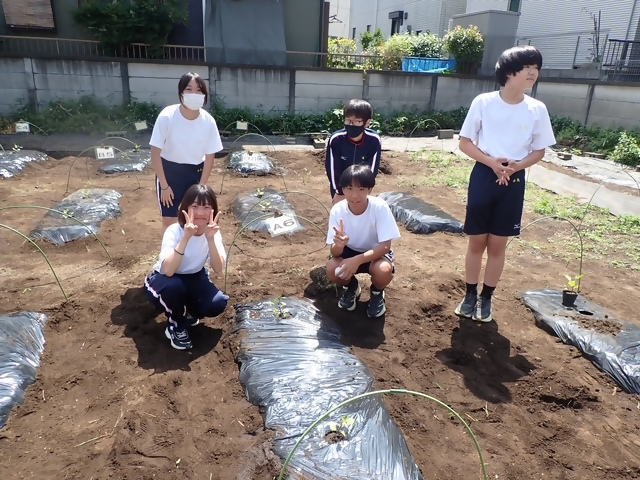 写真