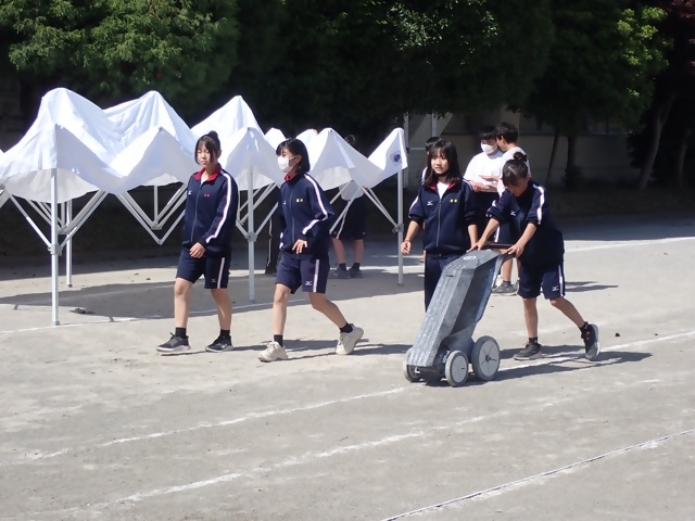 写真