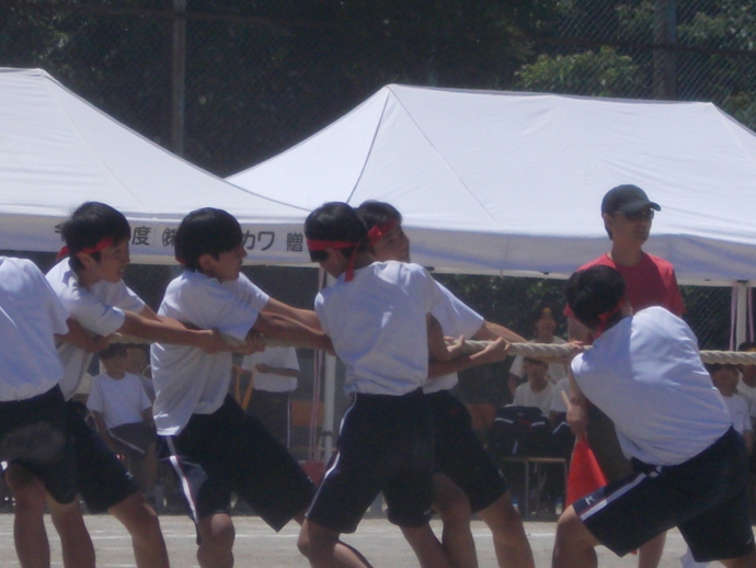 写真