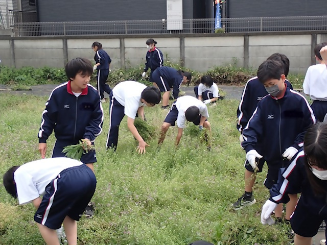 写真