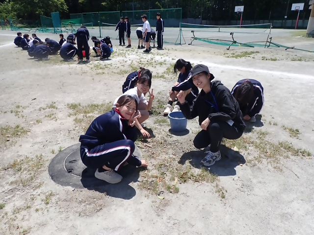 写真